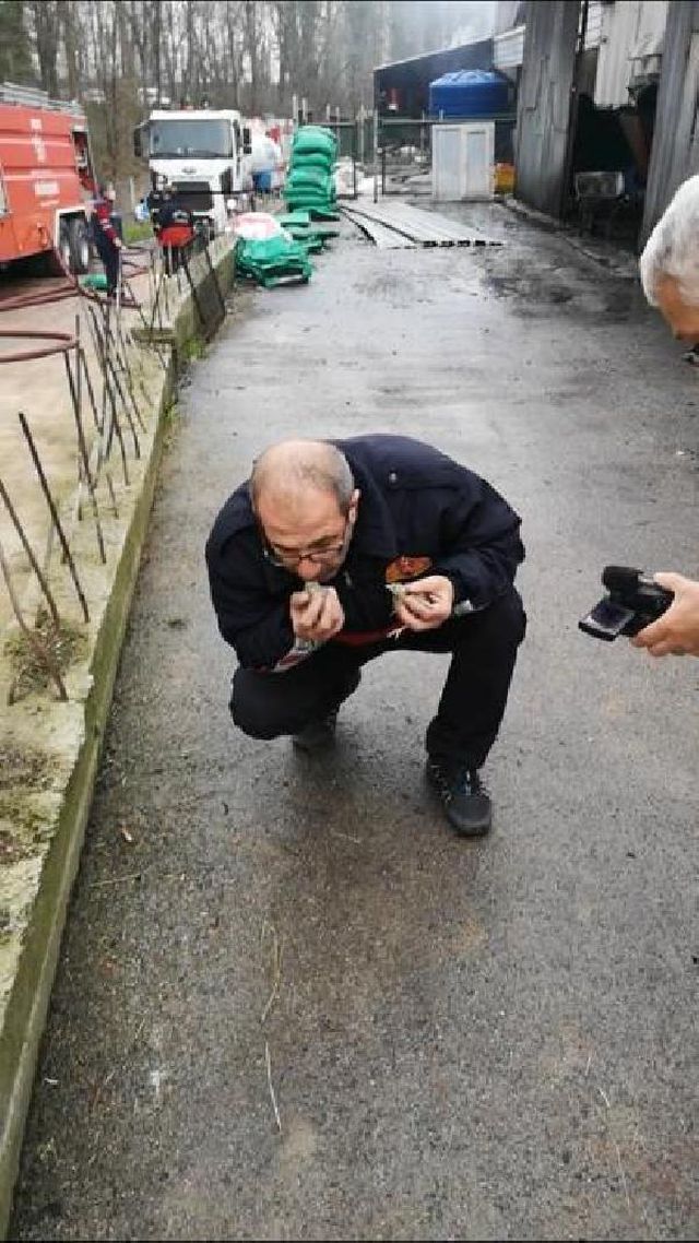 56 bin civcivin bulundugu tavuk ciftligi yand 3 13901722 o