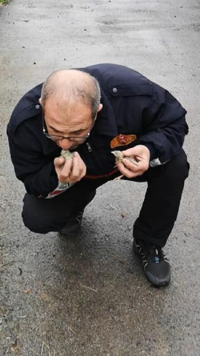 56 bin civcivin bulundugu tavuk ciftligi yand 4 13901722 o