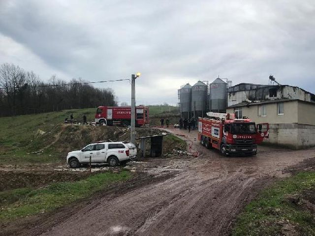 56 bin civcivin bulundugu tavuk ciftligi yand 5 13900436 o