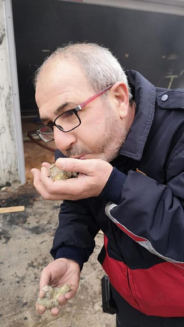 56 bin civcivin bulundugu tavuk ciftligi yand 5 13901722 o
