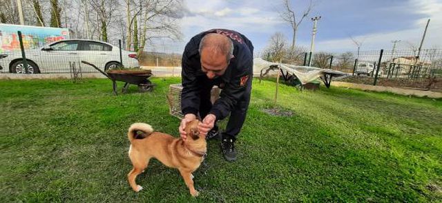56 bin civcivin bulundugu tavuk ciftligi yand 7 13901722 o