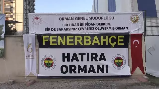 Fenerbahçeli yöneticiler, geçen yıl yanan ormanlık alana fidan dikti Fenerbahçeli yöneticiler, geçen yıl yanan ormanlık alana fidan dikti