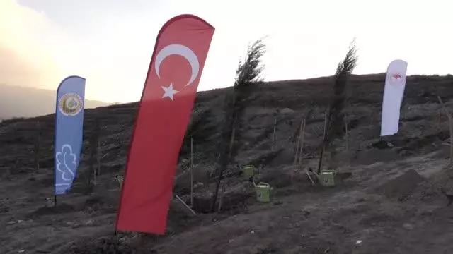 Fenerbahçeli yöneticiler, geçen yıl yanan ormanlık alana fidan dikti Fenerbahçeli yöneticiler, geçen yıl yanan ormanlık alana fidan dikti