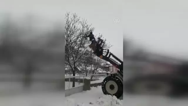 Güdül'de ağaçta mahsur kalan kuşu belediye ekipleri kurtardı Güdül'de ağaçta mahsur kalan kuşu belediye ekipleri kurtardı