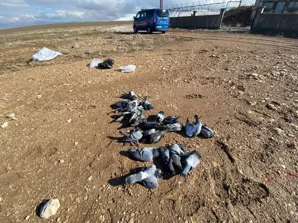 Kaçak avlanan 2 kişiye, 24 bin TL para cezası