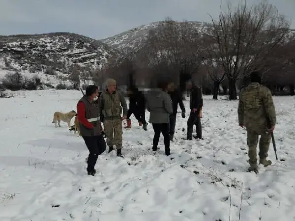 Kısıtlamada domuz avı dronla tespit edilen 3 kişiye 9 bin TL ceza