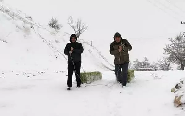 Kısıtlamada domuz avı dronla tespit edilen 3 kişiye 9 bin TL ceza