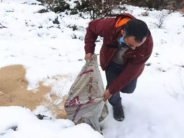 Kısıtlamada domuz avı dronla tespit edilen 3 kişiye 9 bin TL ceza