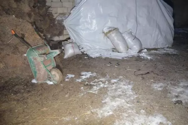 Son dakika haberleri | Şiyar, kar topu oynarken elektrik teline dokununca akıma kapılarak öldü