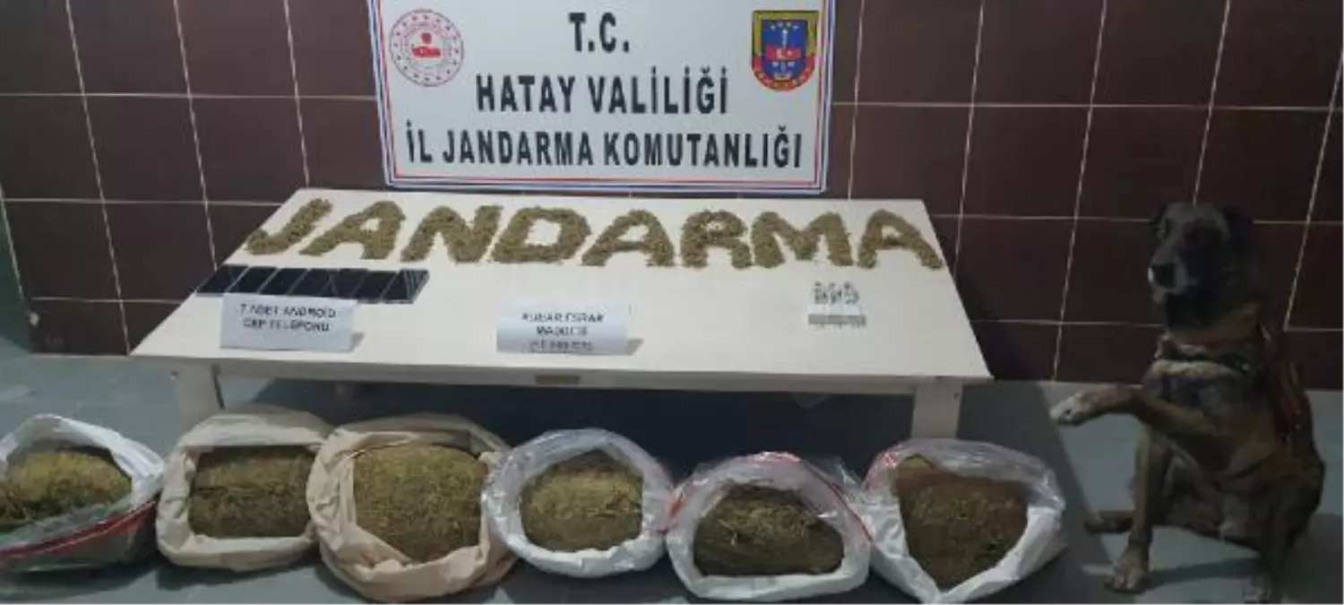 Suriye sınırında uyuşturucu operasyonu