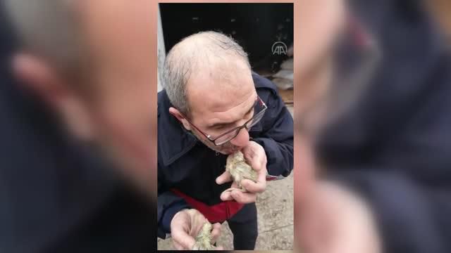 tavuk ciftligindeki yangin hasara neden oldu 13901917 o