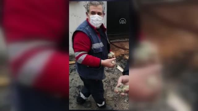 tavuk ciftligindeki yangin hasara neden oldu 4 13901917 o