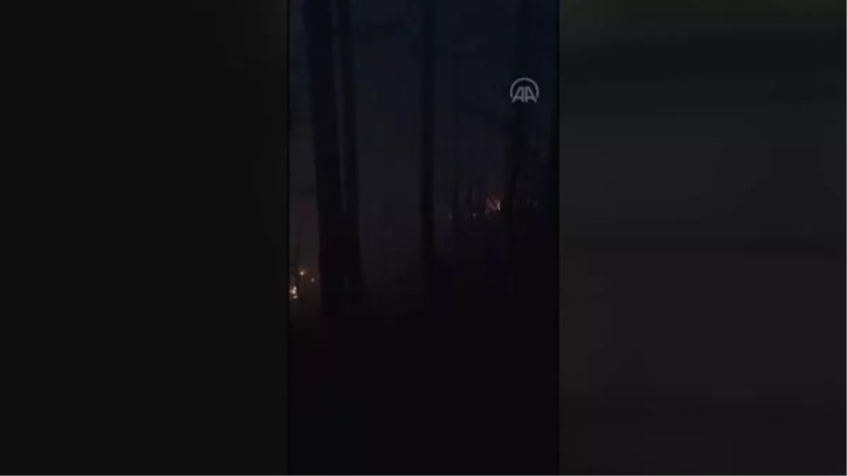 Kastamonu'da çıkan orman yangını kontrol altına alındı