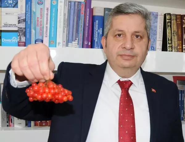 Kayseri'de iki ilçenin 'gilaburu' rekabeti Kayseri'de iki ilçenin 'gilaburu' rekabeti
