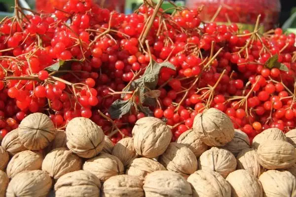 Kayseri'de iki ilçenin 'gilaburu' rekabeti Kayseri'de iki ilçenin 'gilaburu' rekabeti