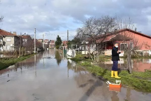 Pancarköy Deresi taştı, Alpullu sular altında kaldı