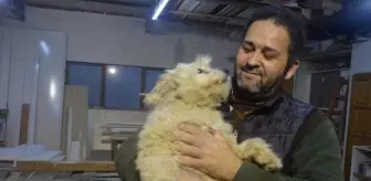 Çalınan köpeği Şans'ın bulunmasını istiyor