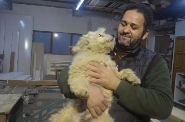 Çalınan köpeği Şans'ın bulunmasını istiyor Çalınan köpeği Şans'ın bulunmasını istiyor