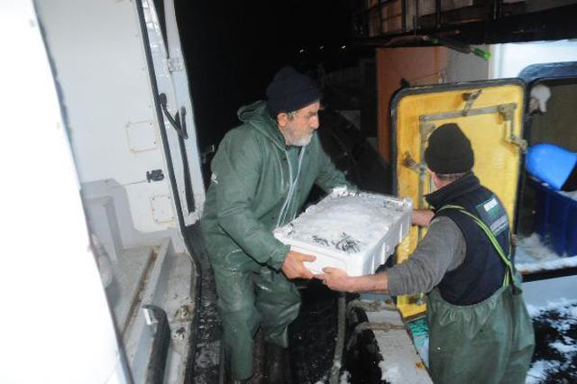 hamsi avlama yasagi esnetildi tekneler tonlar 10 13904490 o