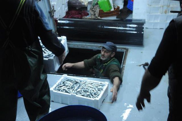 hamsi avlama yasagi esnetildi tekneler tonlar 11 13904490 o