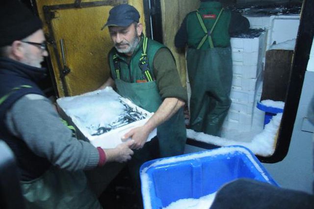 hamsi avlama yasagi esnetildi tekneler tonlar 2 13904490 o