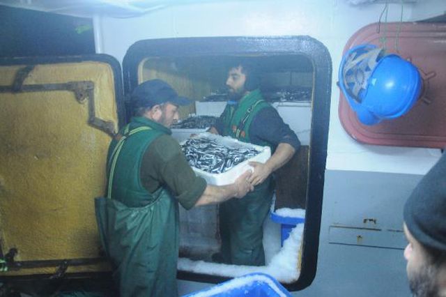 hamsi avlama yasagi esnetildi tekneler tonlar 3 13904490 o
