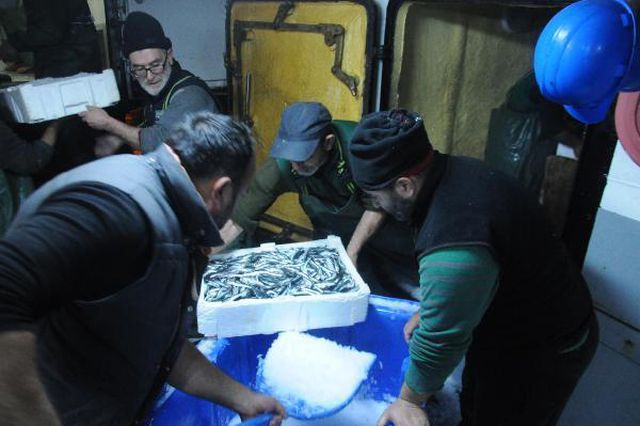 hamsi avlama yasagi esnetildi tekneler tonlar 5 13904490 o