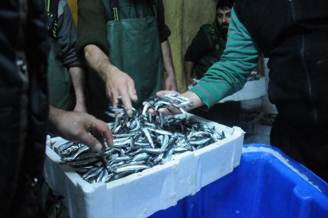 hamsi avlama yasagi esnetildi tekneler tonlar 7 13904490 o