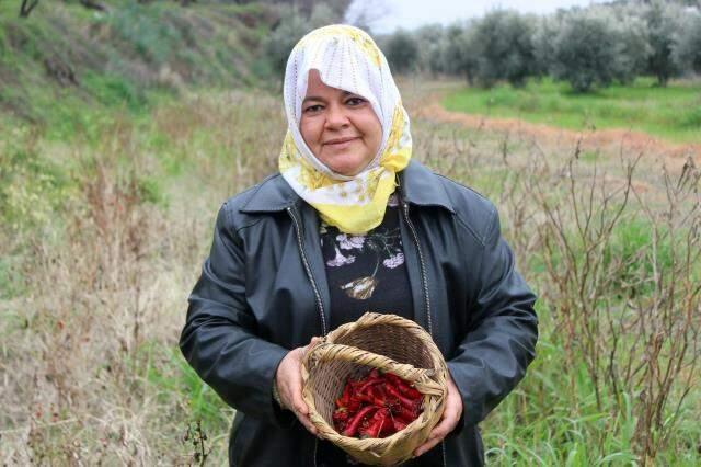 Topladığı biberlerden birinin yılana benzediğini gören çiftçi şaşkınlığını gizleyemedi