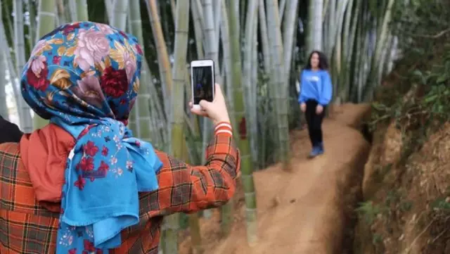 Dedesinin 25 yıl önce diktiği fidanlar ilgi odağı oldu, her gören fotoğraf çektirmeye geliyor Dedesinin 25 yıl önce diktiği fidanlar ilgi odağı oldu, her gören fotoğraf çektirmeye geliyor