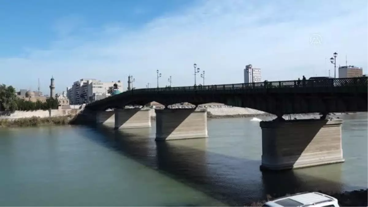 Dicle'yi süsleyen martılar Bağdat'a canlılık, sakinlerine sevgi aşılıyor