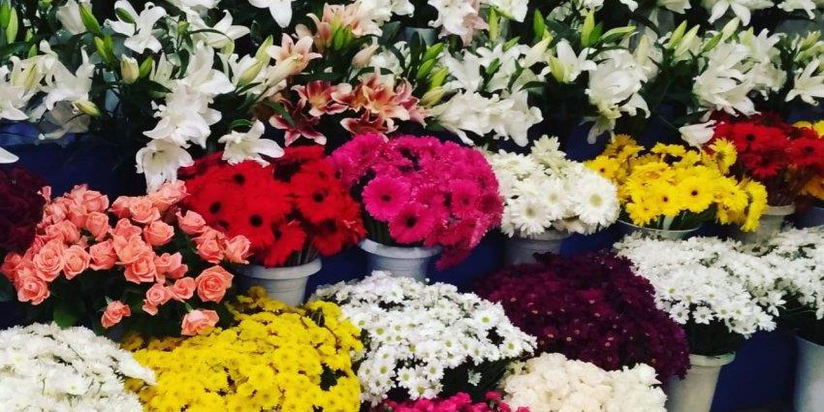 İçişlerinden 'Sevgililer Günü' genelgesi: Çiçekçiler belirli saatlerde kısıtlamadan muaf tutulacak