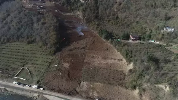 İtalya'dan gelen 'Drakula' Maçka'da çiftçinin kabusu oldu! Fındık ağaçları bir bir yakılıyor