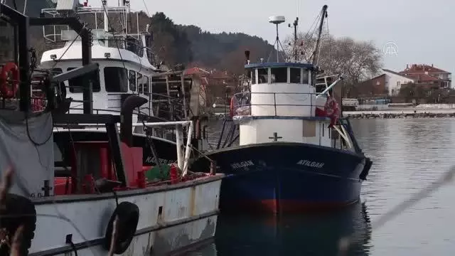 KASTAMONU - Karadenizli balıkçılar 'kum midyesi' avlanma sahasının genişletilmesini istiyor KASTAMONU - Karadenizli balıkçılar 'kum midyesi' avlanma sahasının genişletilmesini istiyor