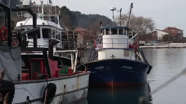 KASTAMONU - Karadenizli balıkçılar 'kum midyesi' avlanma sahasının genişletilmesini istiyor KASTAMONU - Karadenizli balıkçılar 'kum midyesi' avlanma sahasının genişletilmesini istiyor