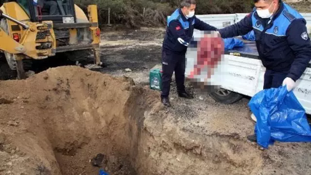 Baskında kilolarca et ürünü ele geçirildi! Vicdansız işletmeci bunları insanlara satacaktı Baskında kilolarca et ürünü ele geçirildi! Vicdansız işletmeci bunları insanlara satacaktı