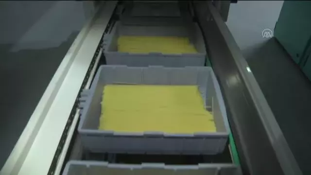 Türkiye geçen yıl 763 milyon dolarlık makarna ihraç etti Türkiye geçen yıl 763 milyon dolarlık makarna ihraç etti