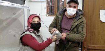 İşçilerin bulduğu yavru ayı korumaya alındı