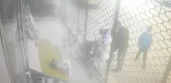 Kadının, sokak köpeklerinin saldırısına uğradığı anlar kamerada