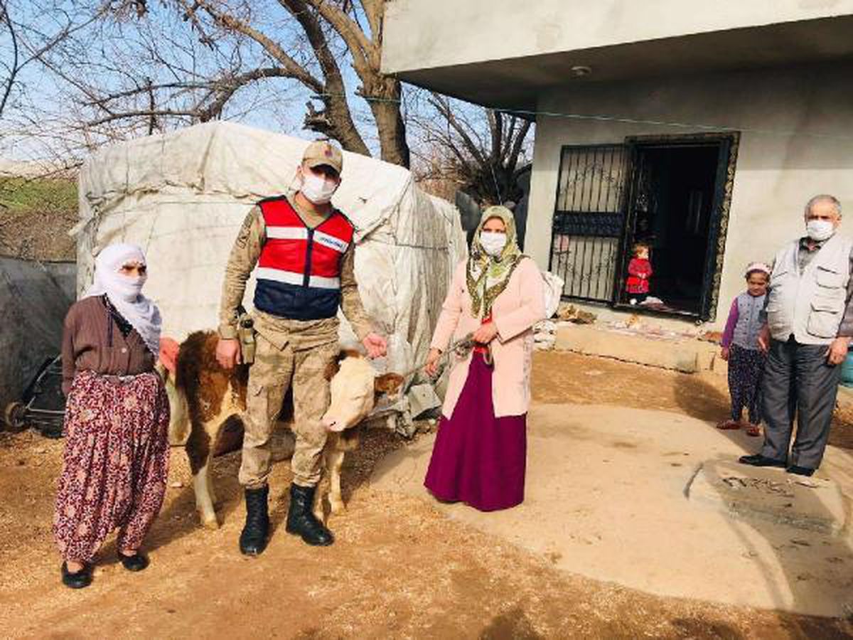 Son dakika haberleri: Kahta'da hayvan hırsızlığına 6 gözaltı