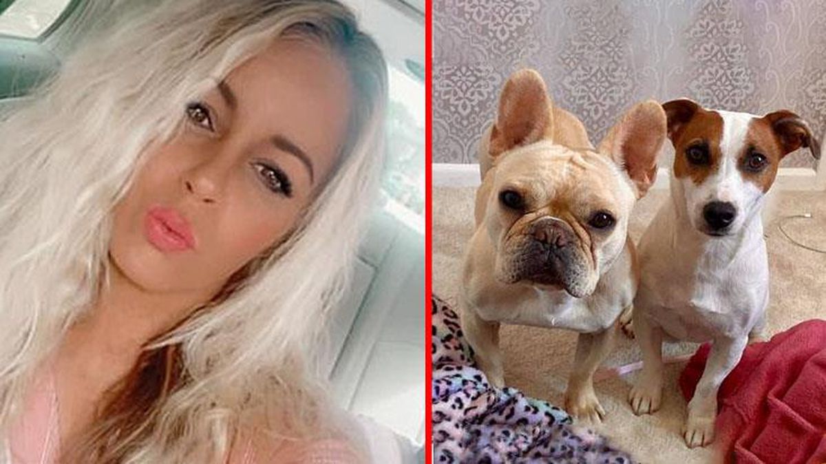Köpeği tarafından ısırılan kadın, birkaç gün sonra hastanelik oldu! Durumu kritik
