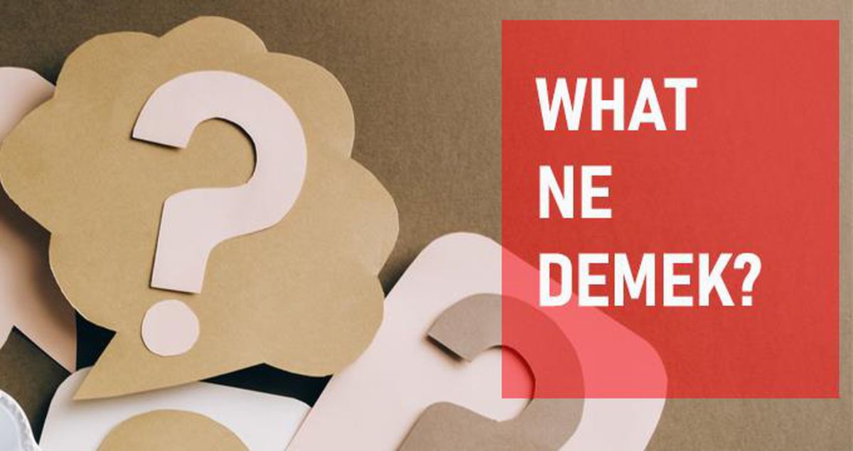 What ne demek? What anlamı ne?