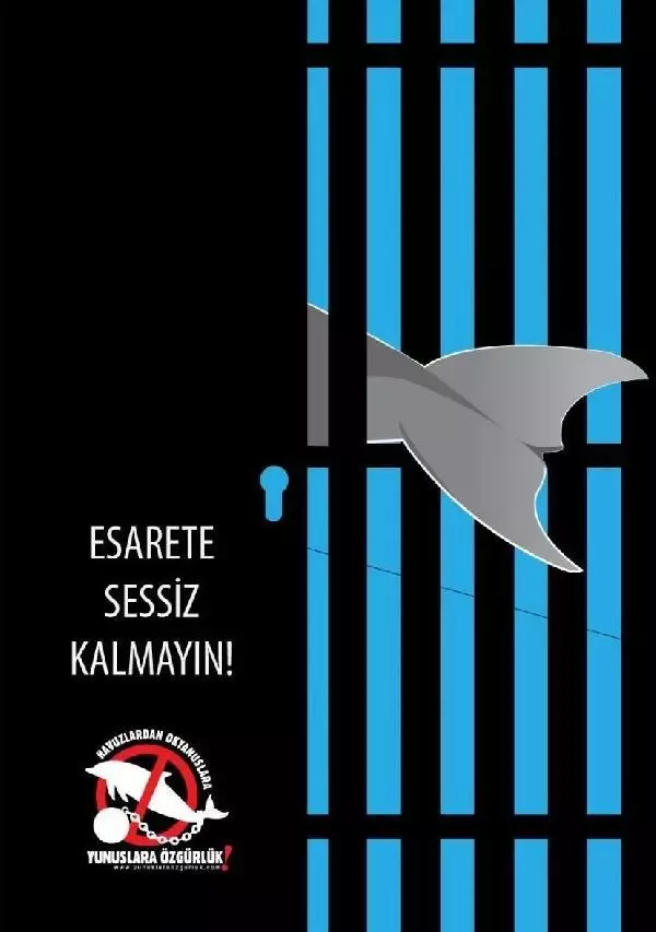 Yunuslara ve diğer hayvanlara işkencenin peşindeler