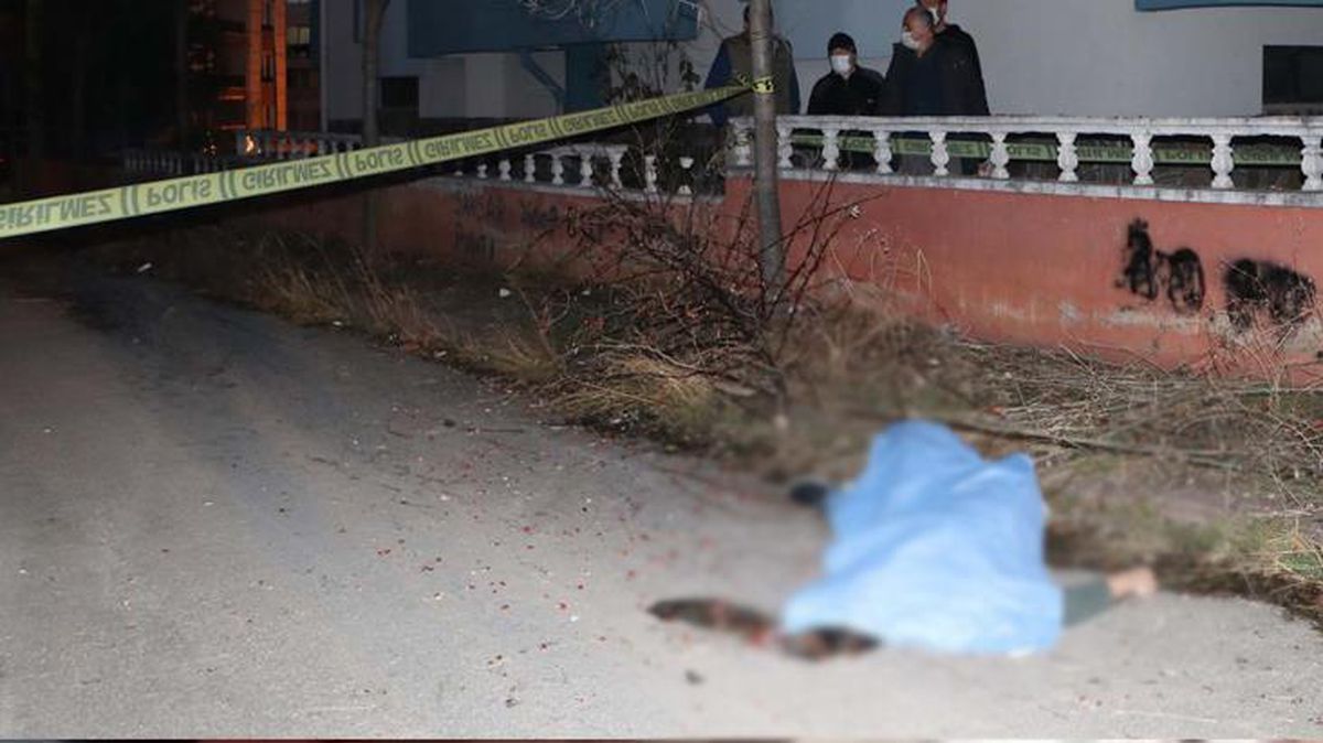 Bahçesindeki ağacı budamak istedi, dengesini kaybedince feci şekilde can verdi