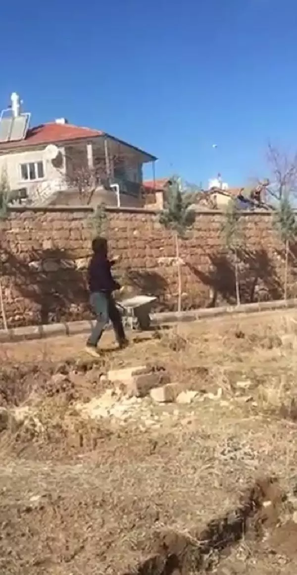 Nevşehir'de parkta ağaç diken belediye görevlilerine taşlı saldırı
