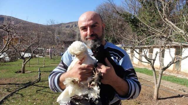 Bir zamanlar saraylarda beslenen sultan tavuğunun fiyatı bin 500-2 bin lira arasında değişiyor