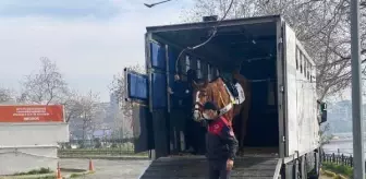 Caddebostan'da atlı birliklerin denetimi devam ediyor