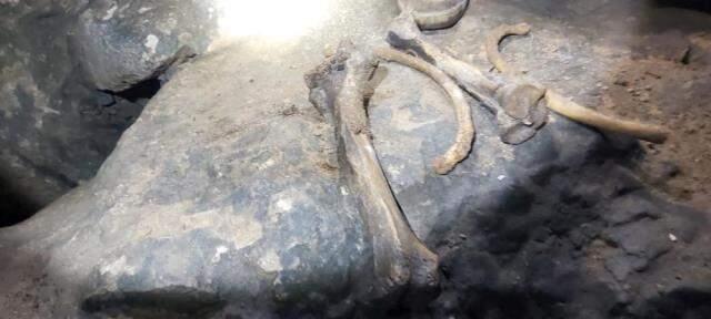 Gebeoğlu Tepesi, 16 bin yıllık geçmişi ile tarihe ışık tutuyor