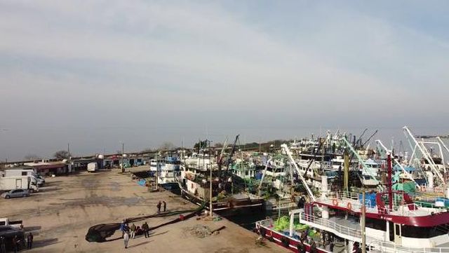 kandirali balikcilardan cagri elekleri 5 13912853 o