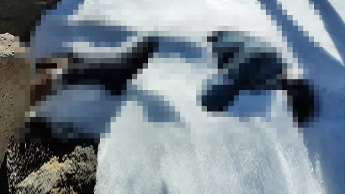 Kayıp zihinsel engellinin cansız bedeni 23 gün sonra karlar arasında bulundu